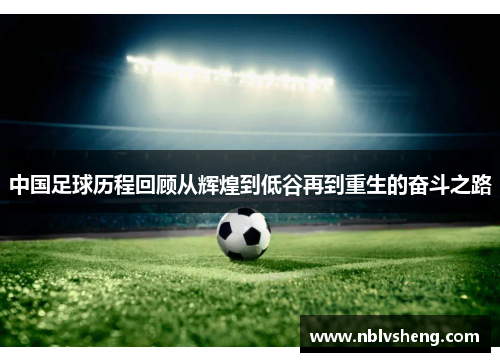 中国足球历程回顾从辉煌到低谷再到重生的奋斗之路