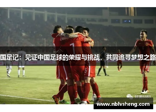 国足记：见证中国足球的荣耀与挑战，共同追寻梦想之路