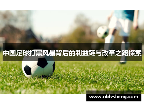 中国足球打黑风暴背后的利益链与改革之路探索