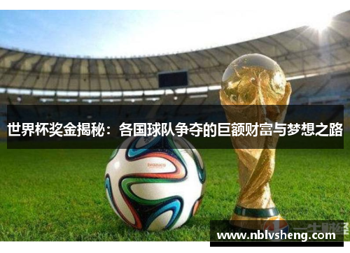 世界杯奖金揭秘：各国球队争夺的巨额财富与梦想之路