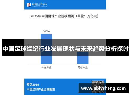 中国足球经纪行业发展现状与未来趋势分析探讨