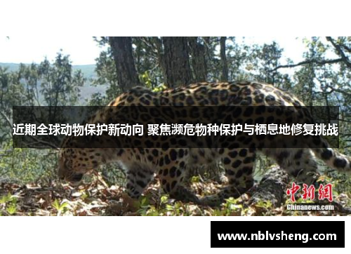 近期全球动物保护新动向 聚焦濒危物种保护与栖息地修复挑战